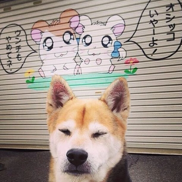 开云体育入口-钢铁防线与伦敦之矛—巴斯托尼证明自我，阿森纳扼杀悬念撼动罗马