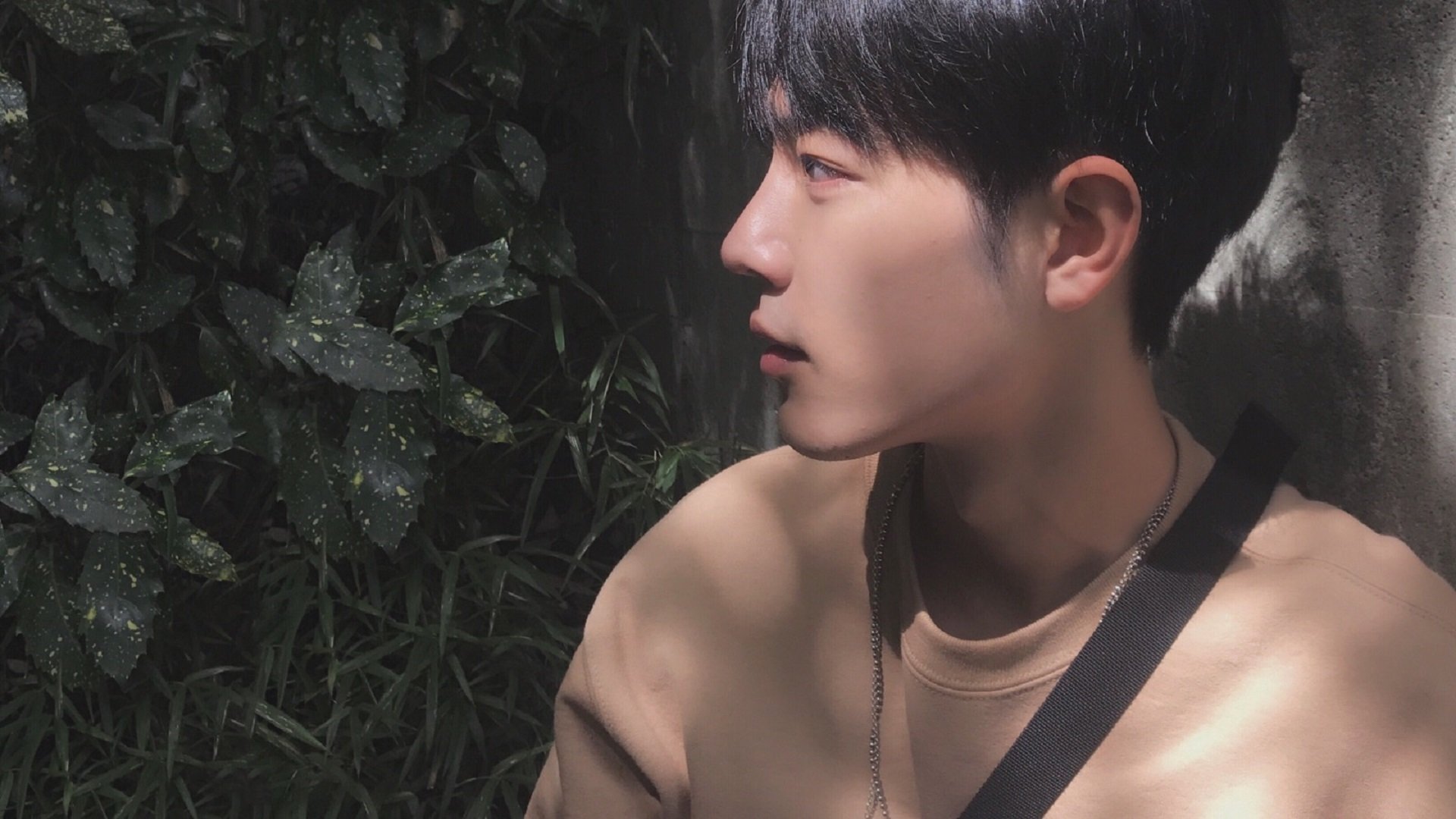 围城焚书，当布克的教科书在山西的火焰中化为兵法