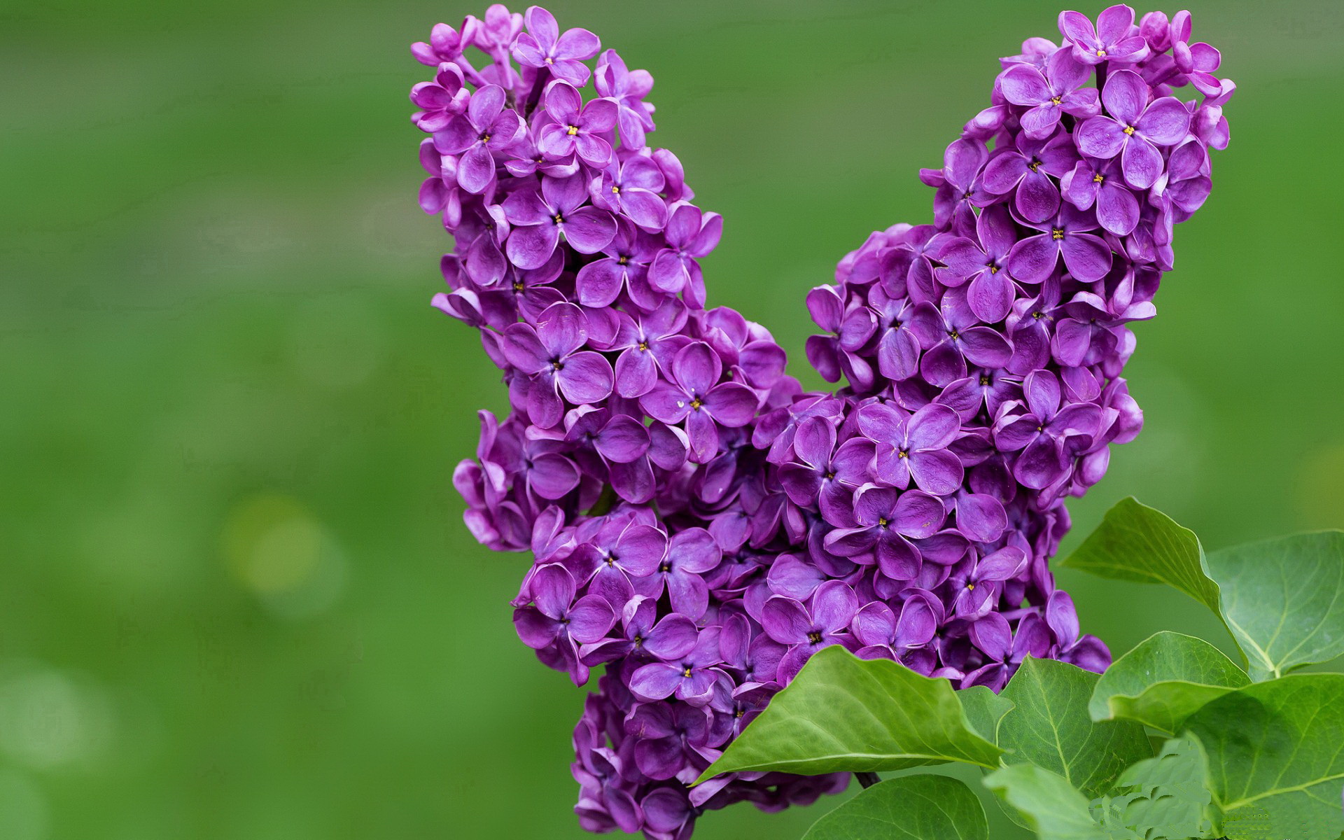 双重震撼！几内亚草根队掀翻莱比锡红牛，托尼破纪录之夜却黯淡无光