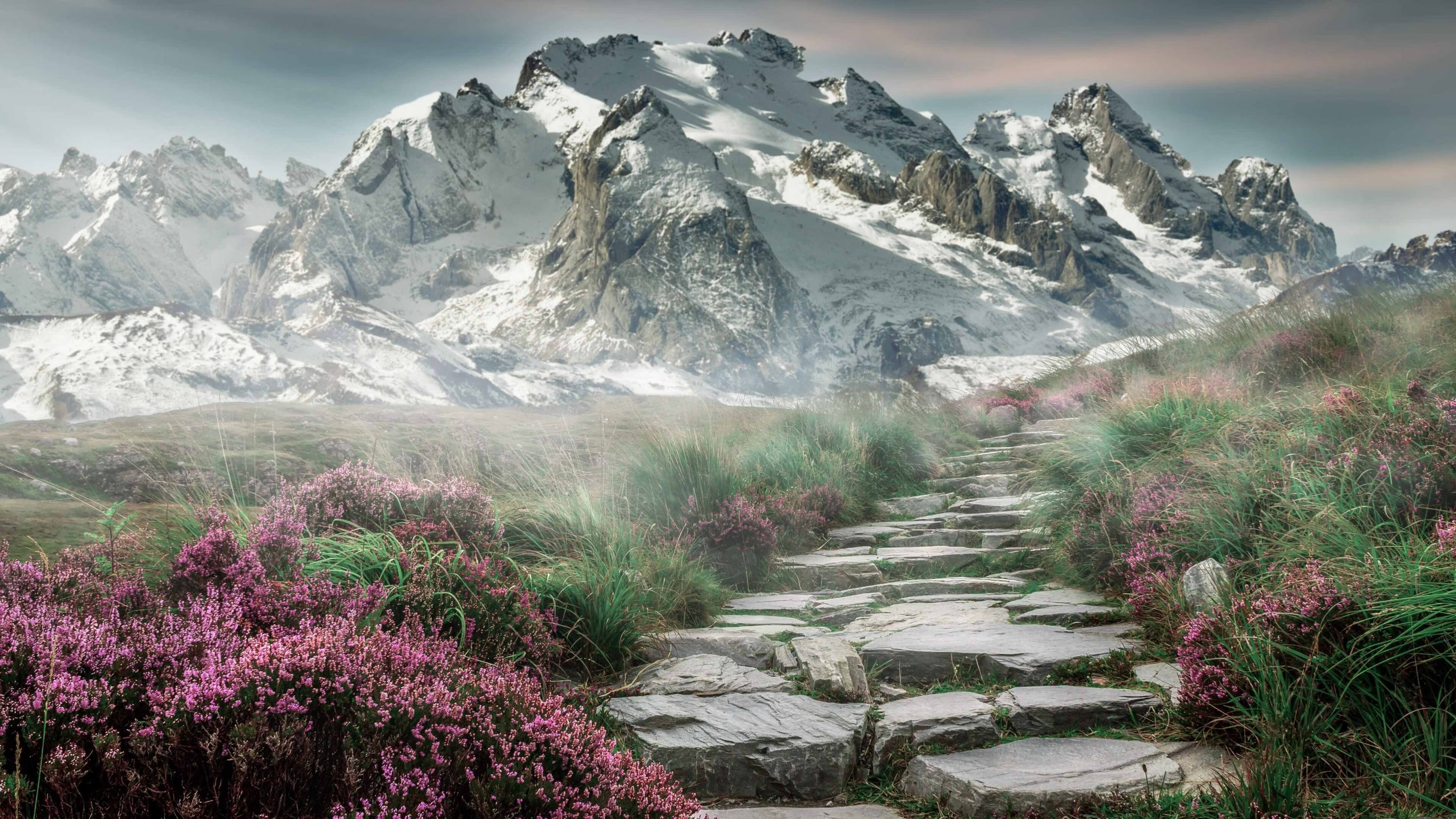 开云体育入口-跨界时空的唯一剧本，当新疆队末节带走灰熊，杜兰特点燃的不只是赛场