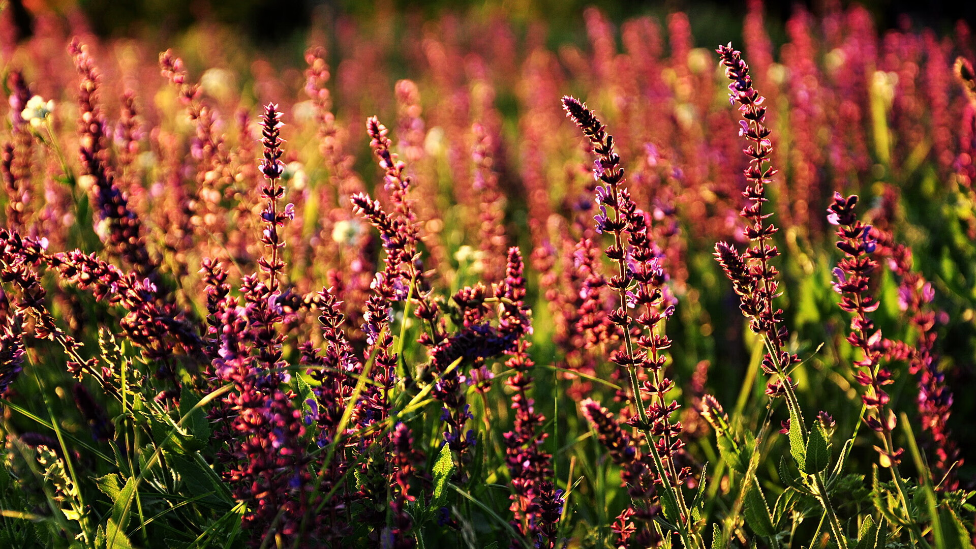 开云sport-错位时空的血战，当奇才遇上本不该遇见的鹈鹕