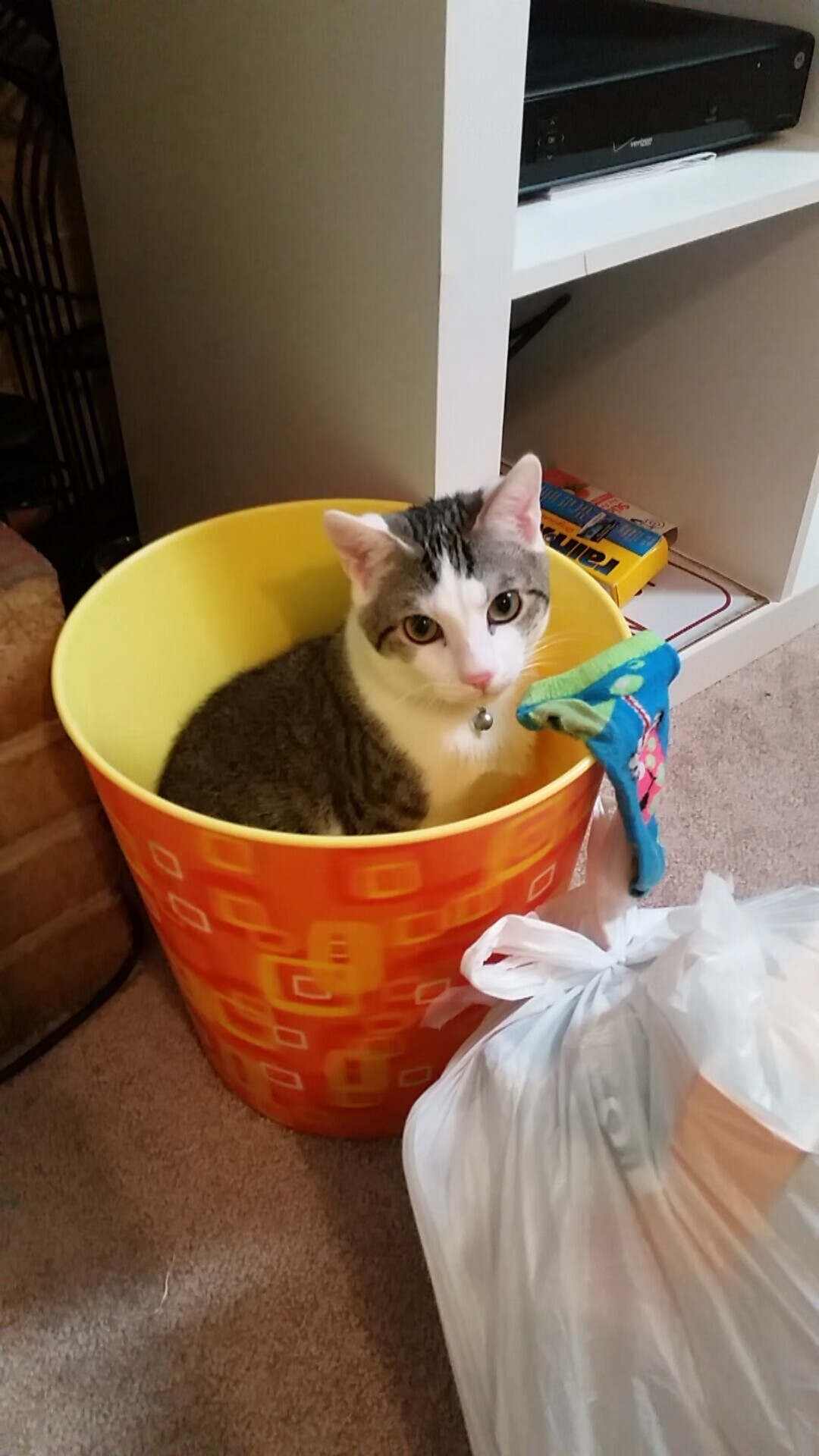 金属与磐石，当切尔西的华丽洪流粉碎挪威，卡塞米罗在意甲焦点战重塑中场铁律