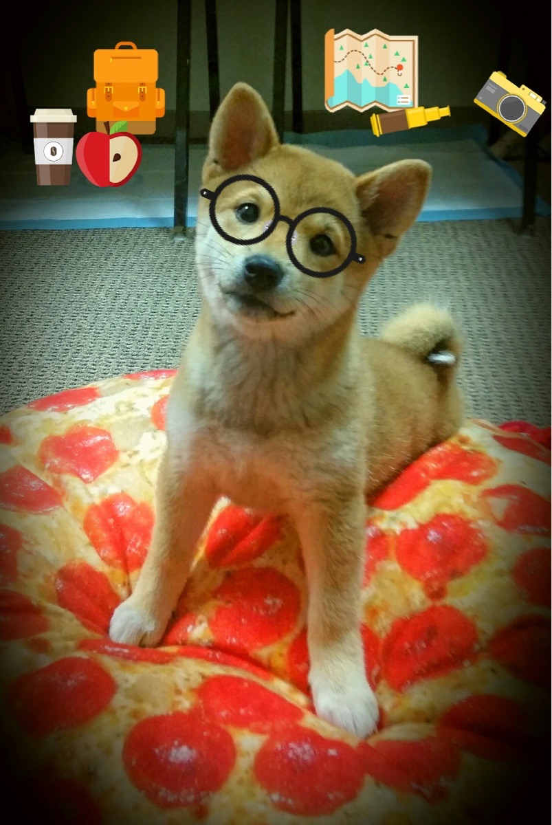 分水岭之战，灰熊单节风暴与爱德华兹的抢七传承