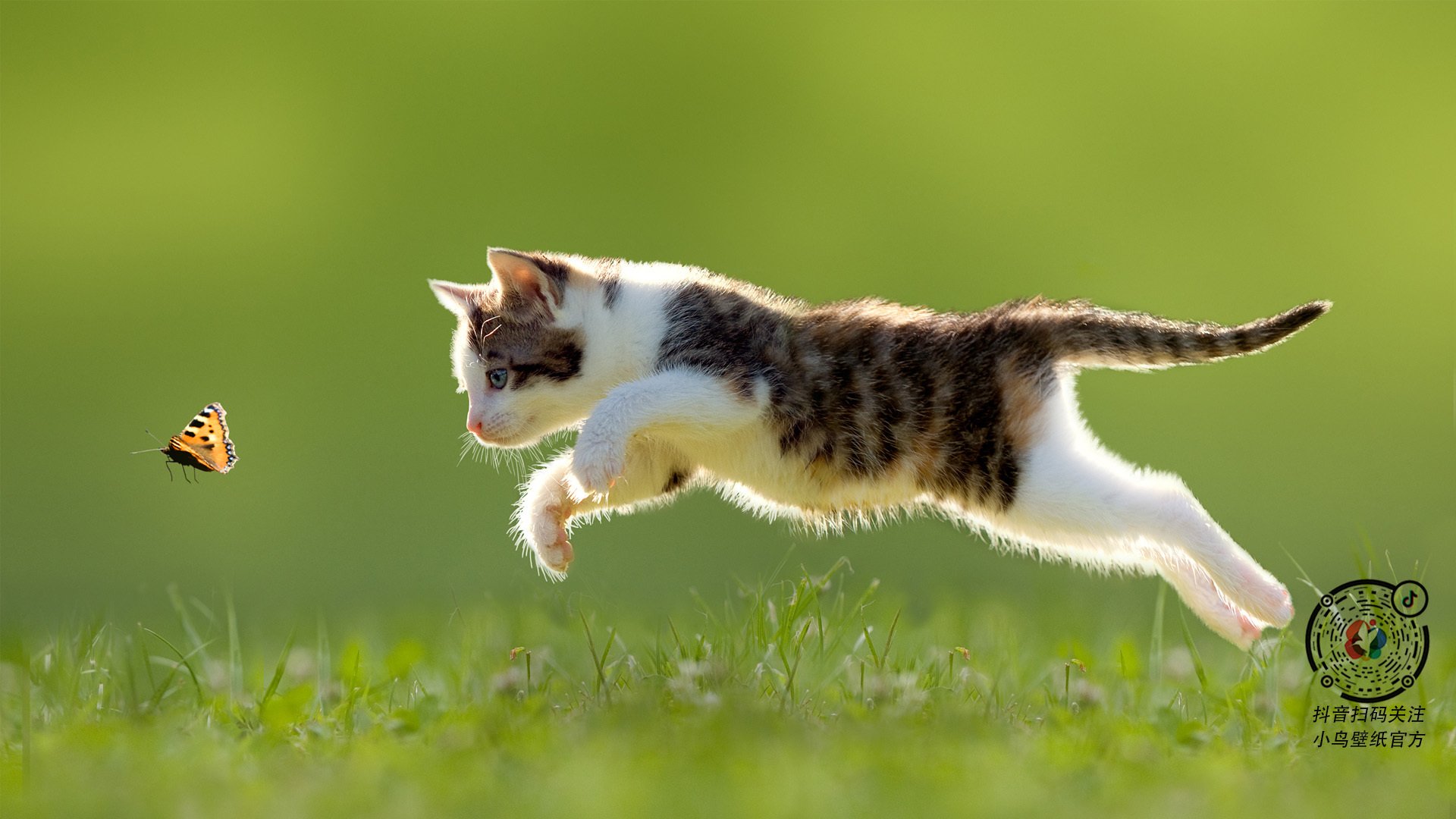 国家德比烽烟起,黄潜艇奇袭伊拉克,一场绿茵与沙场的战术对位