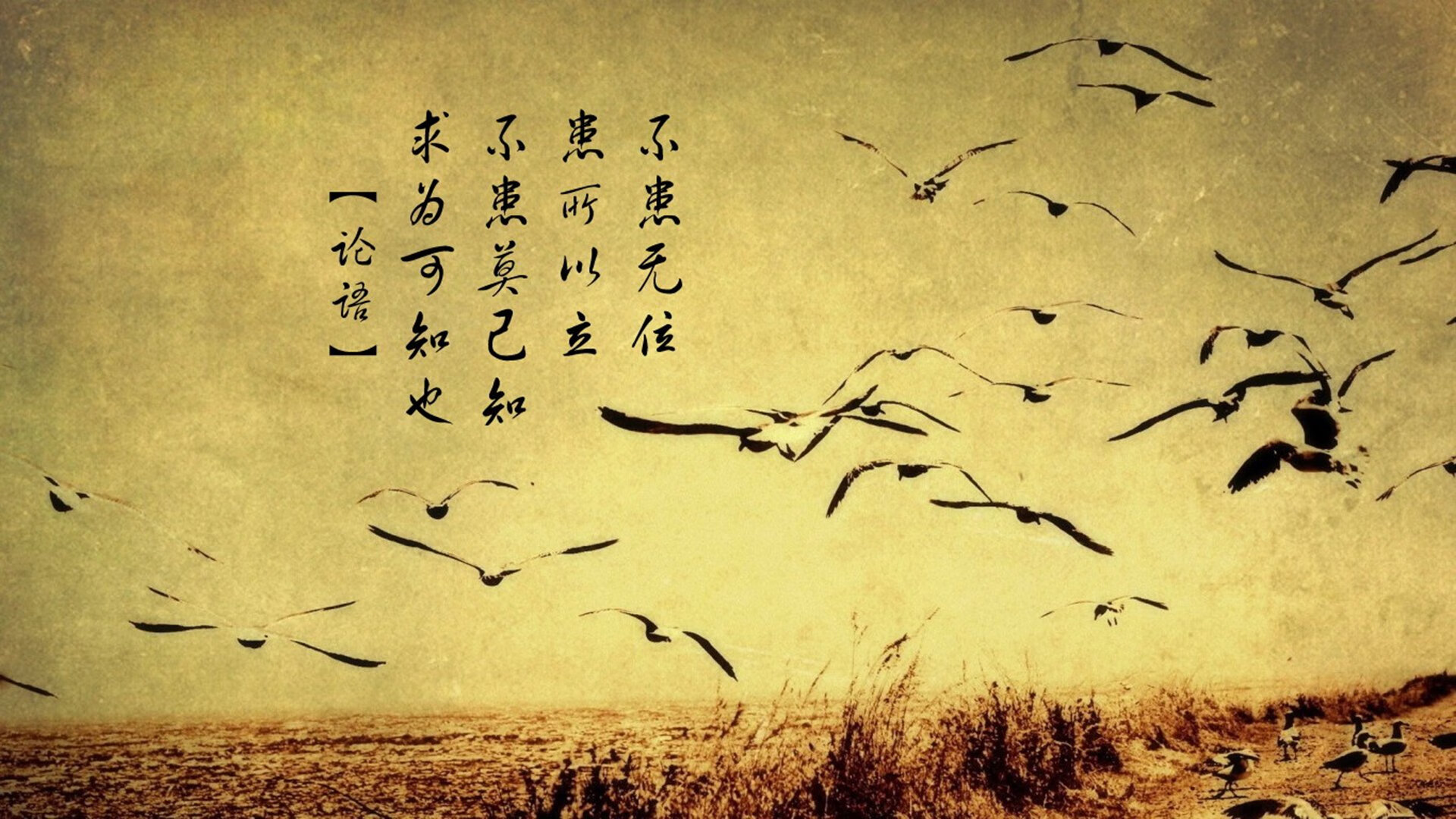 喀麦隆踏平瑞典，哈弗茨关键节点连续得分铸就历史性胜利