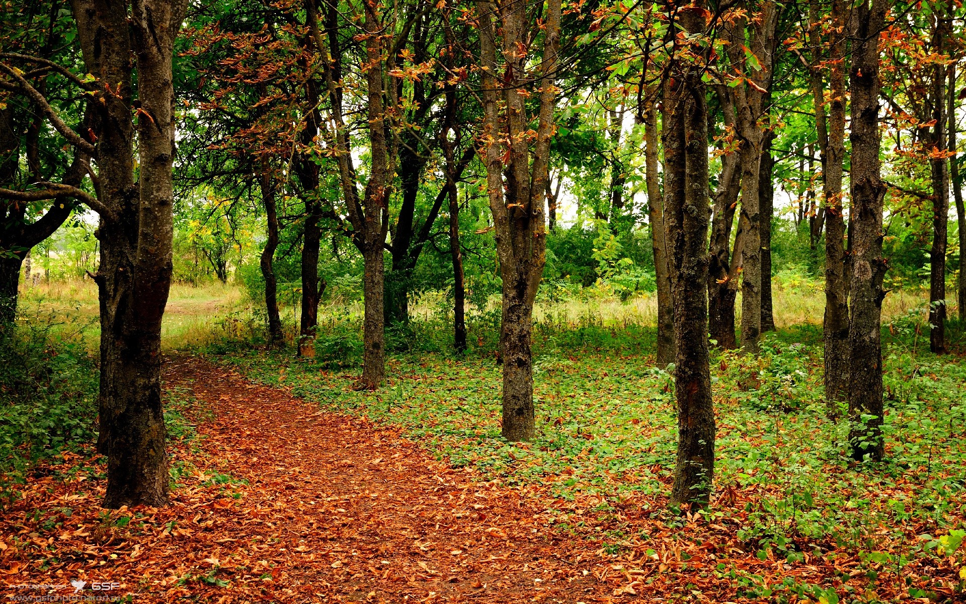 开云体育中国-唯一的答案，当哈利伯顿将欧冠淘汰赛变成防守教科书