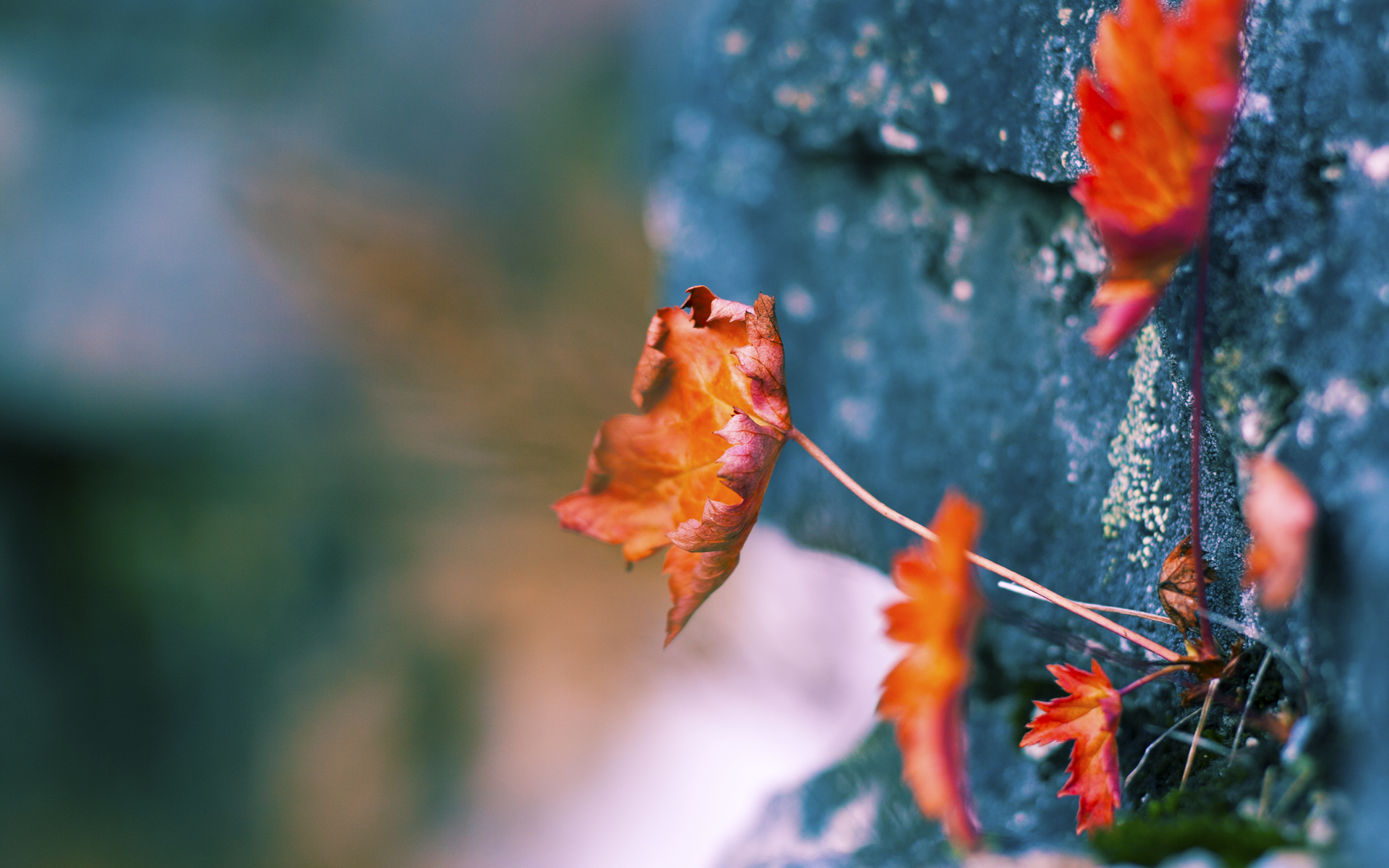 开云体育平台APP-一剑封喉！广东加时绝杀广厦，布伦森狂轰45+12主宰生死