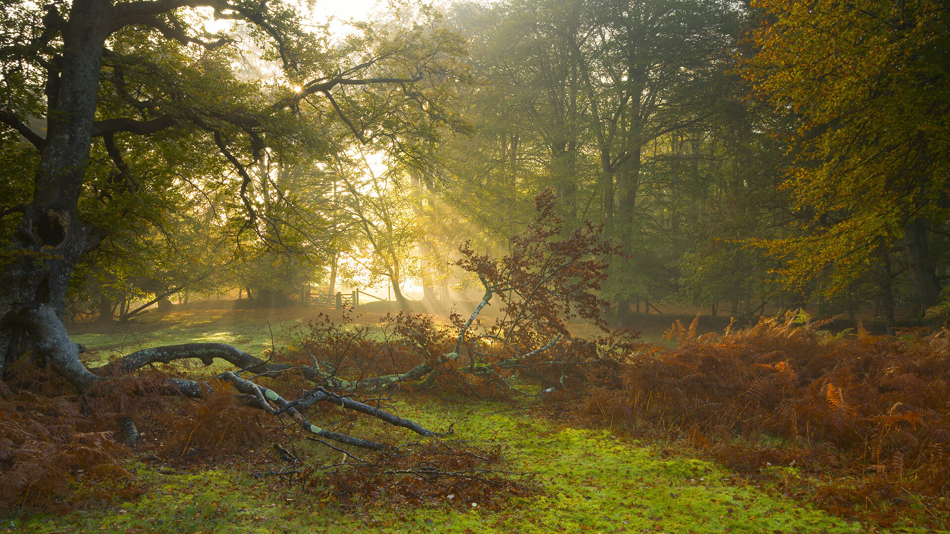 开云体育登录-决胜时刻，那些跨越时空的永恒瞬间