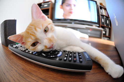 刹车区与加速区，当赛道弯心遇见球场禁区