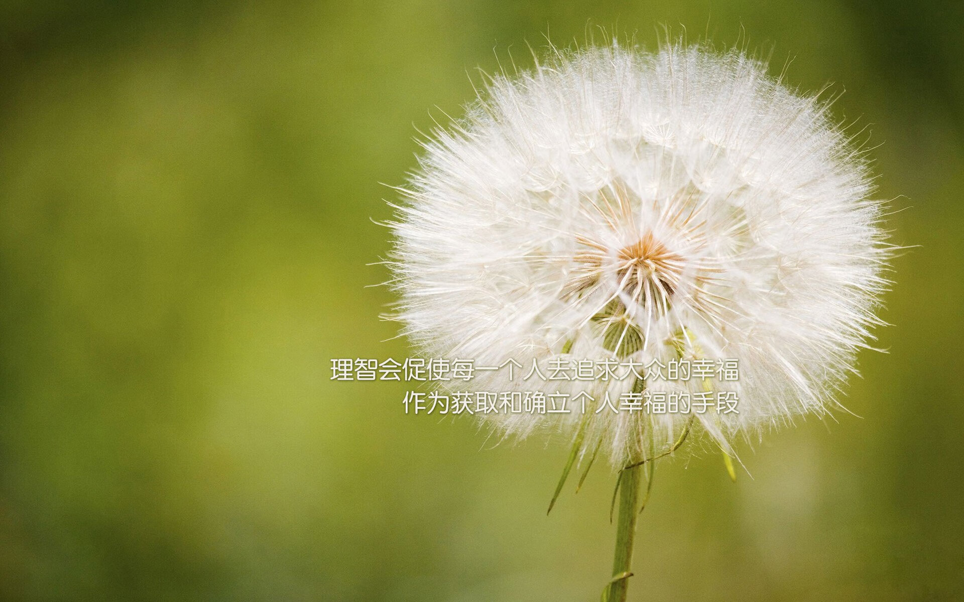 开云体育-当亚平宁的海风吹过丹佛高原，两种接管，一种精神