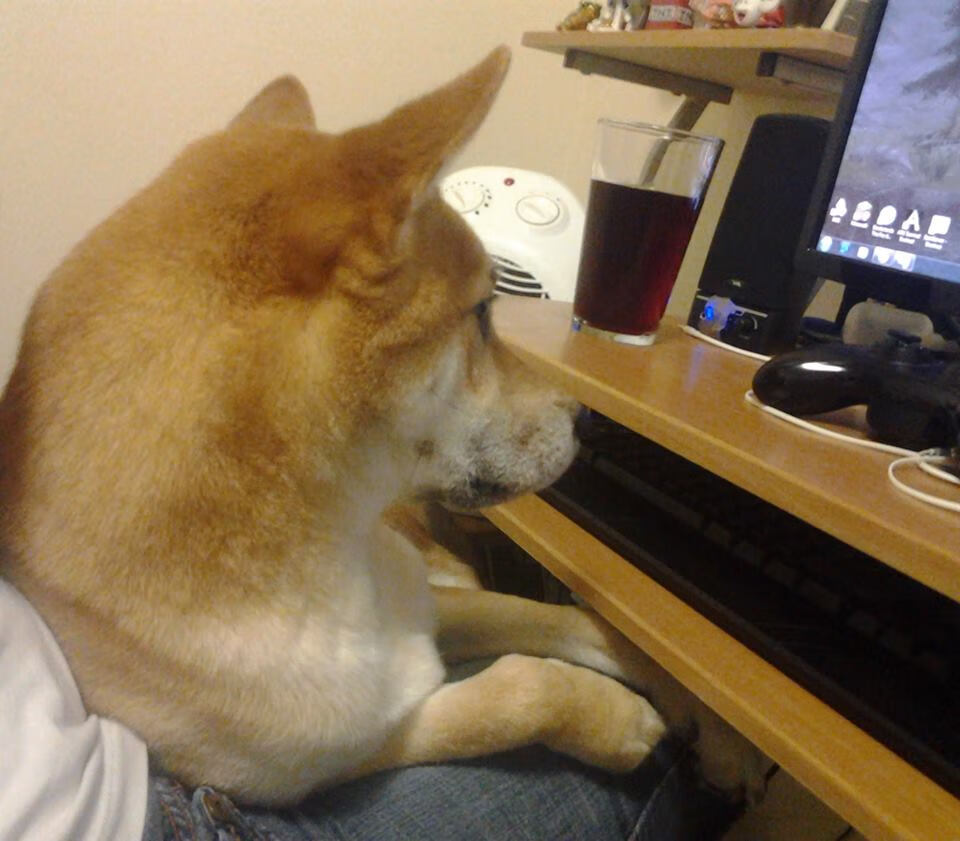 开云体育登录-绝境图腾，西亚卡姆四记三分冰火交响曲，铸就22分史诗翻盘