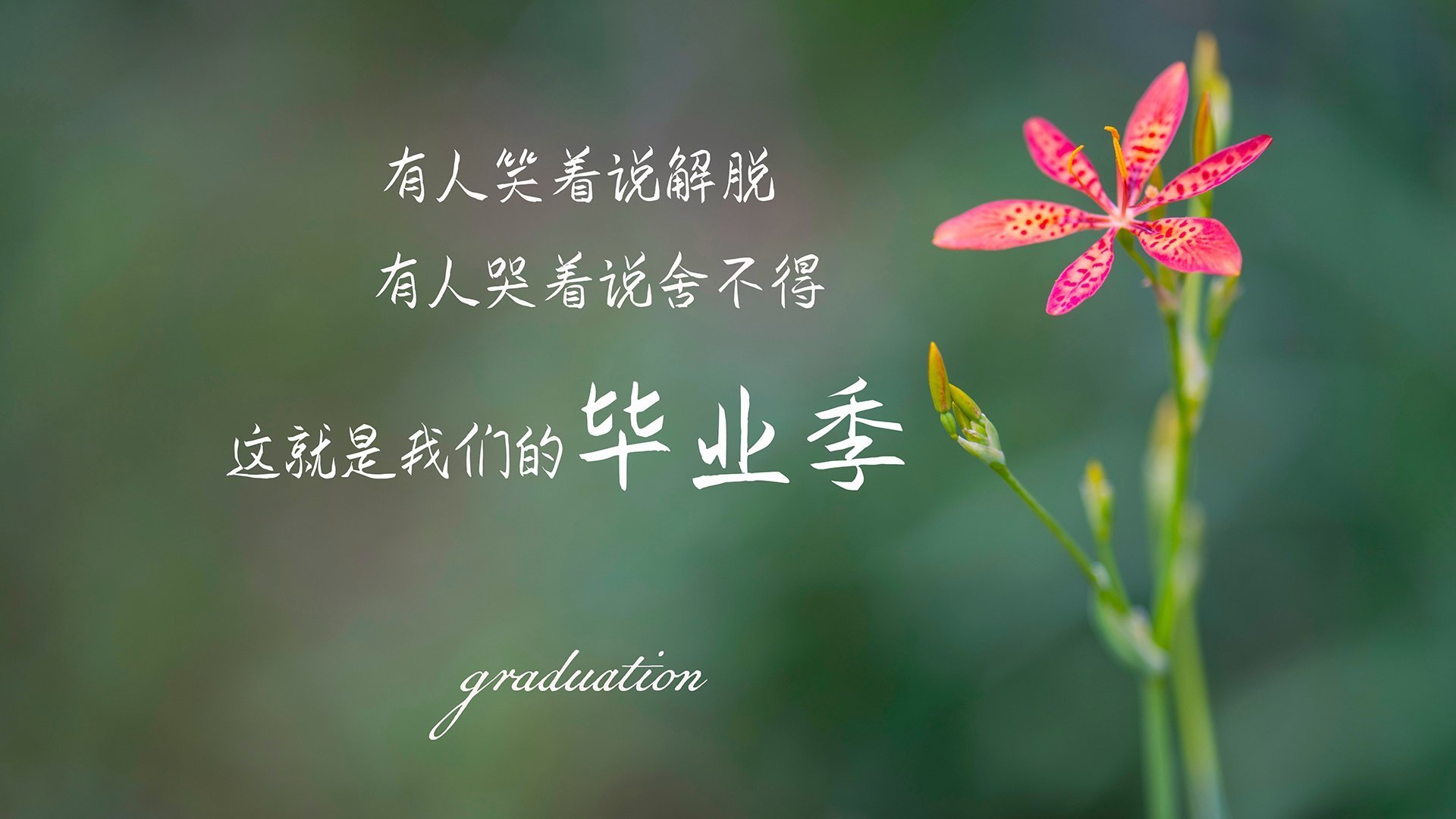 开云体育登录-唯一逆袭，2026世界杯G组，印度压制美国，孙兴慜独舞破局