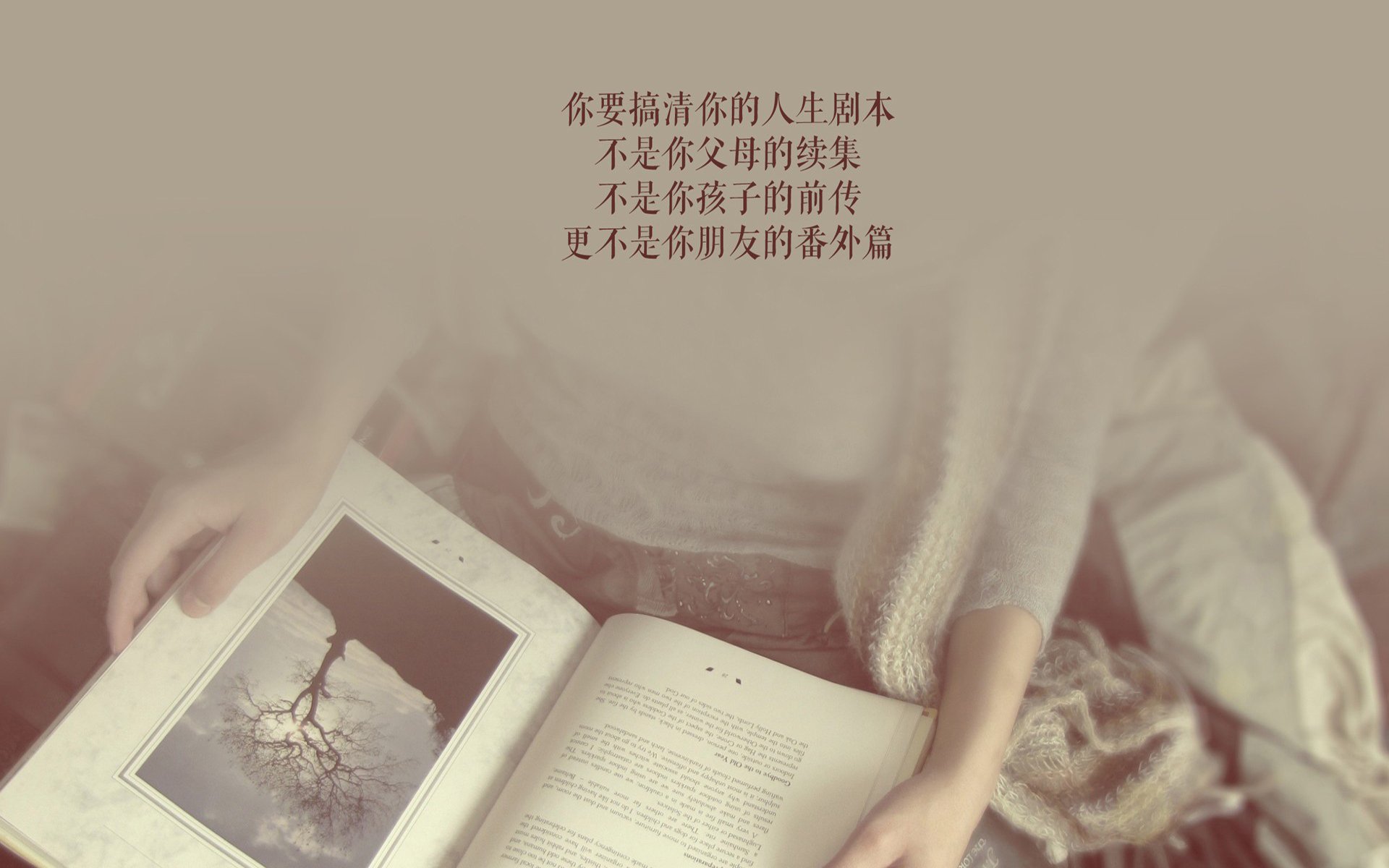 开云体育中国-哈兰德刺穿桑巴防线，伊朗铁骑踏碎足球王国—2026世界杯H组世纪碾压背后的中场统治力