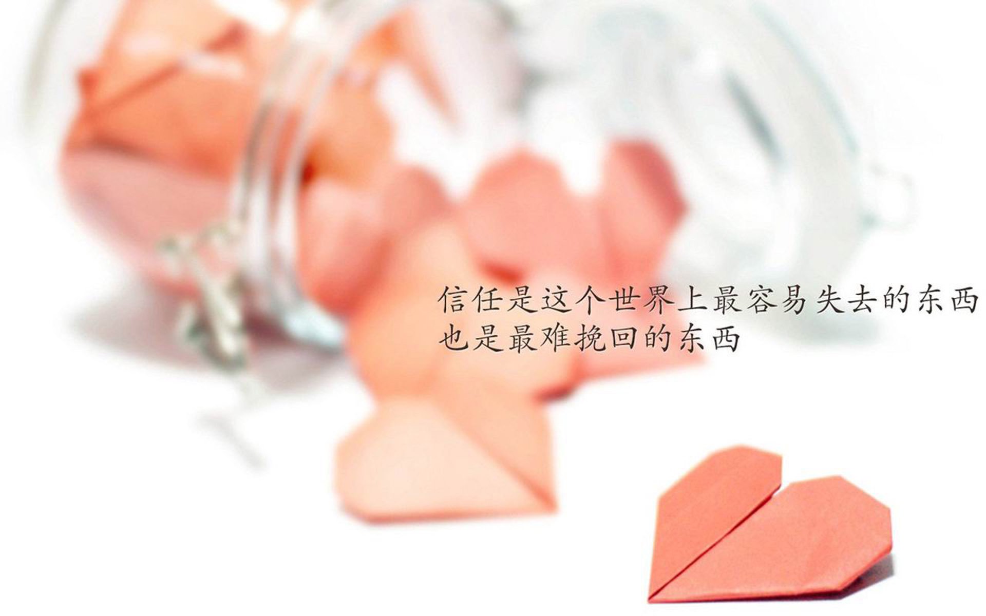 沉默的爆裂,当伊朗铁骑碾过非洲雄狮,穆西亚拉的一剑封喉与世界杯的宿命论